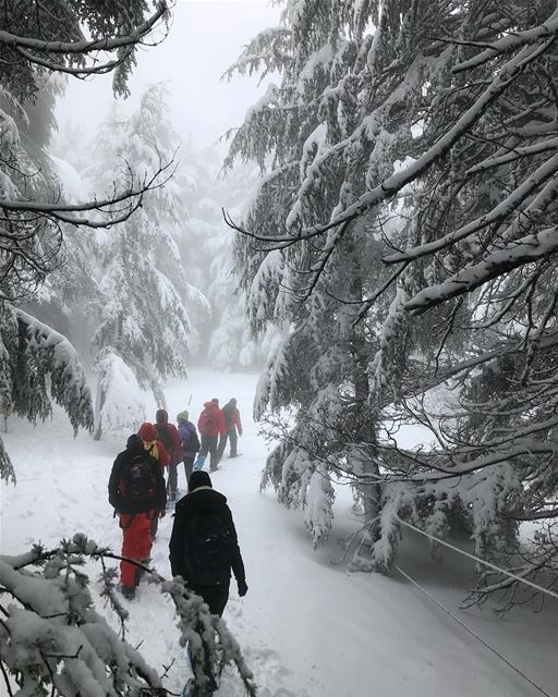 Snow paradise 😍 (Arz el Bâroûk)