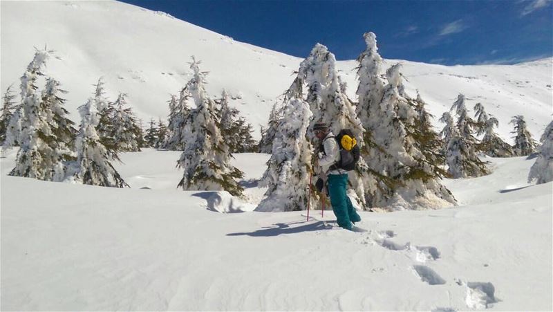 Snow season 🤟🏻 - this photo was taken around 3 years ago but still... (Somewhere in Lebanon)