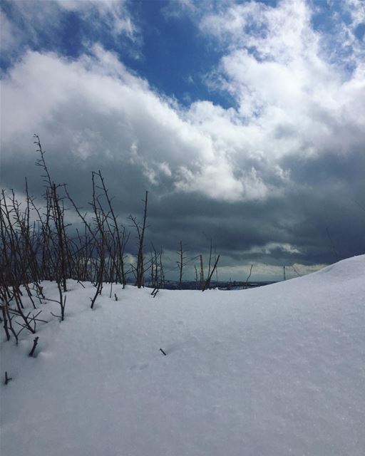  snow  storm  weather  wintertime  nature  naturephotography  mountains ...