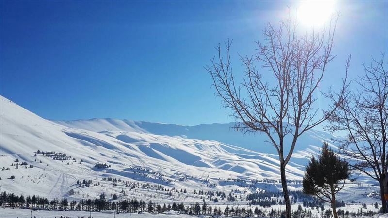 × snow, sun and clear blue skies make me wish winter would never leave × (Al Arz)