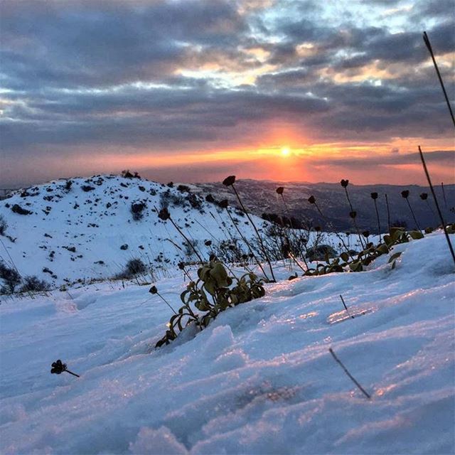  snow sunset winter sun nature mountains like4like lebanon livelovelebanon...