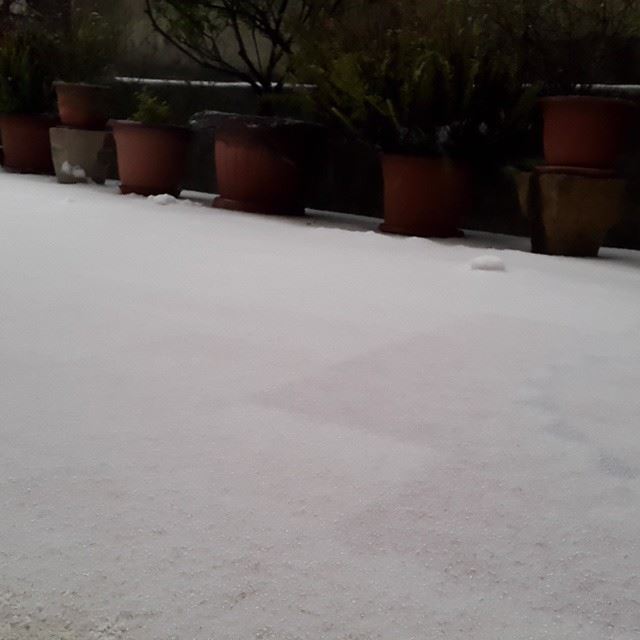  snow  windy  storm  brumana   home  lebanon  livelovelebanon  picoftheday...