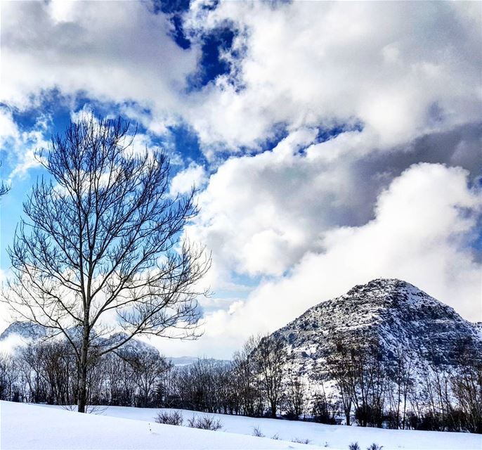  snow winter Lebanon cold insta_lebanon  laklouk  boys  girls ...