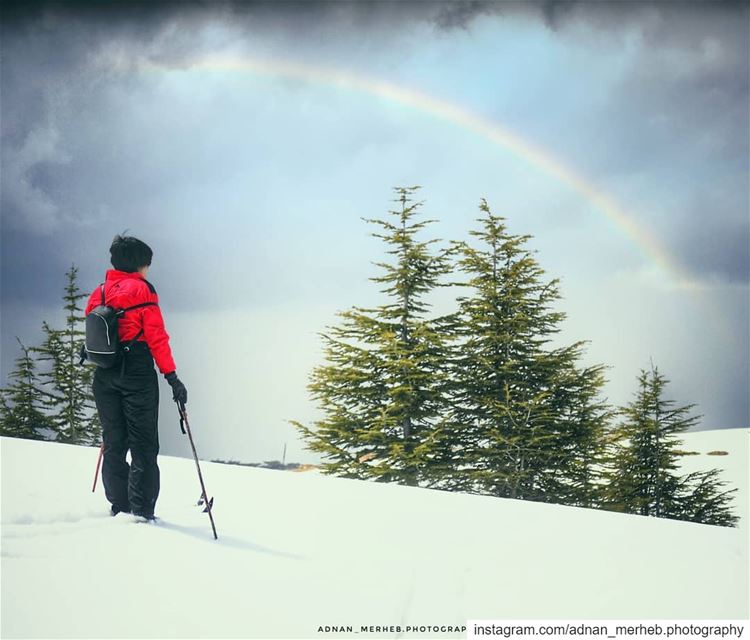 🌈 🌨 🎿  snow  winter  nature  ski  mountains  love  photography  dog ... (Bcharré, Liban-Nord, Lebanon)