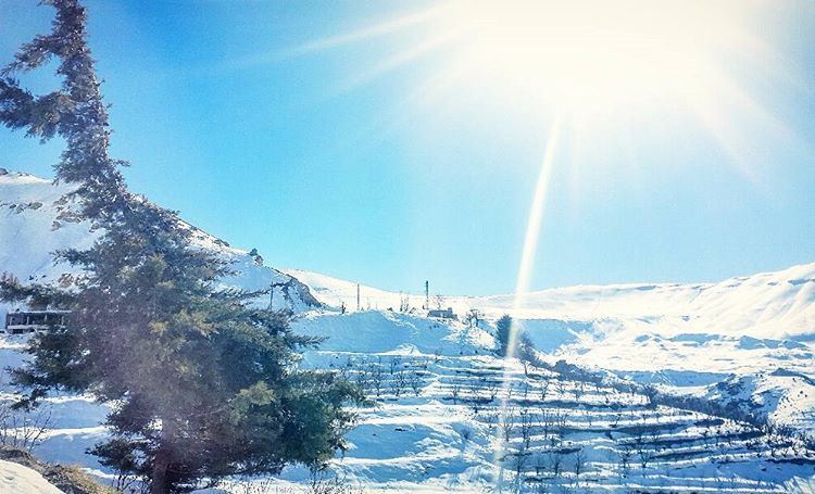  snow  winter  vibes  dayaddict  sun  trees  white  mountains ... (Cedars of God)