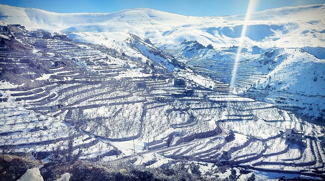❄❄  snow  winter  vibes  insta_lebanon  lebanoninapicture  lebanonbyalocal... (Cedars of God)