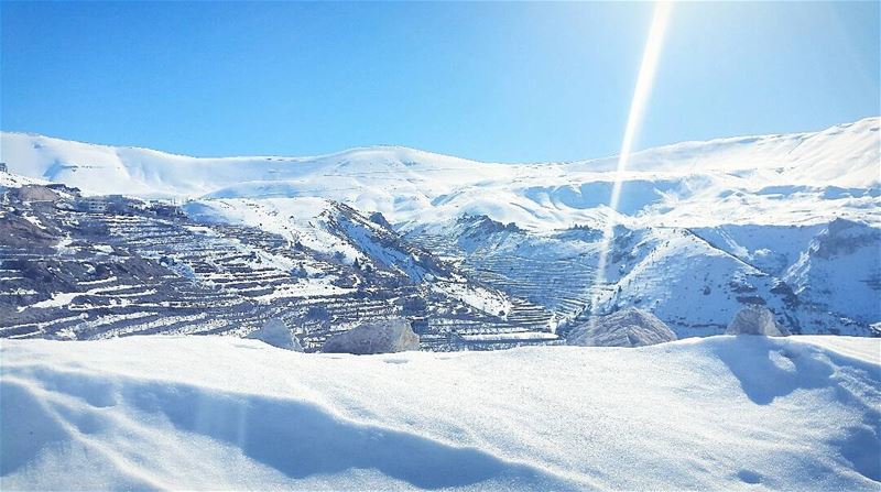  snow  winter  vibes  mountainfellas  white  mountains  skylovers  trees ... (Cedars of God)