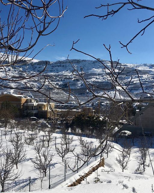 Snow ❄️❤️ lebanon travel بيروت لبنان سفر (Faraya, Mont-Liban, Lebanon)