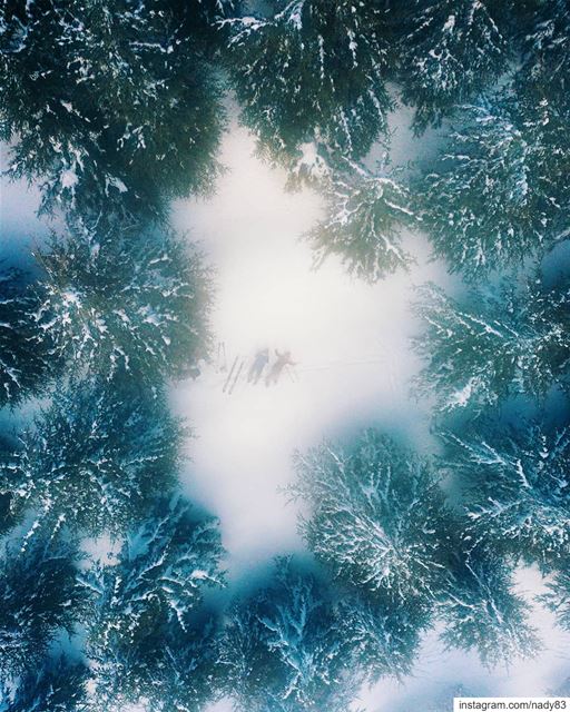 Snowflakes falling...