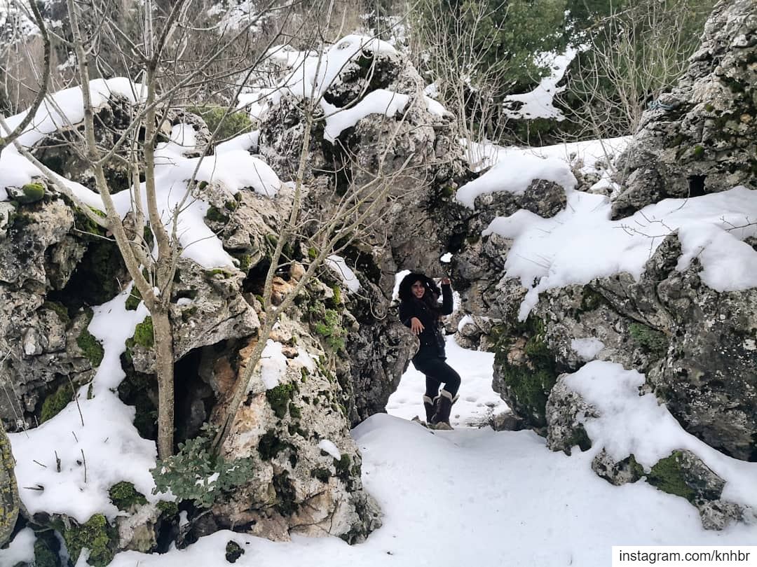  snowhike  lebanon  livelovelebanon  whitemountains  wildernessculture ...