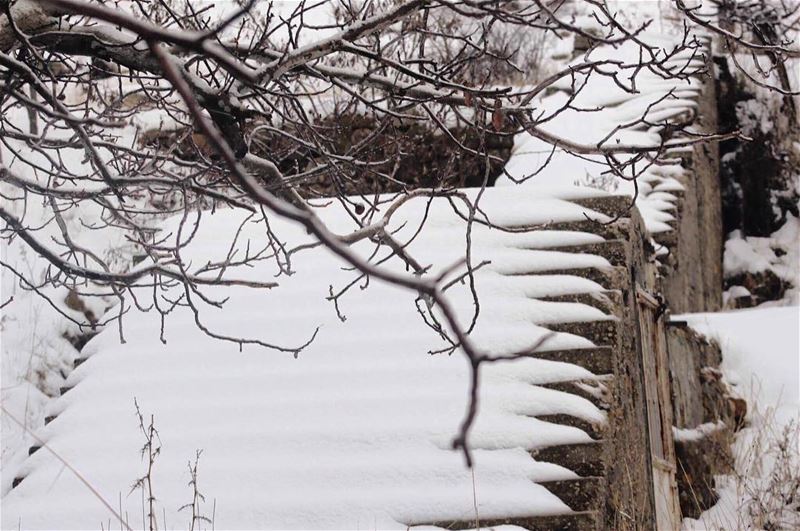  snowing  everywhere  stairstoheaven  nature_perfection  natureaddict ... (Sohat Falougha)