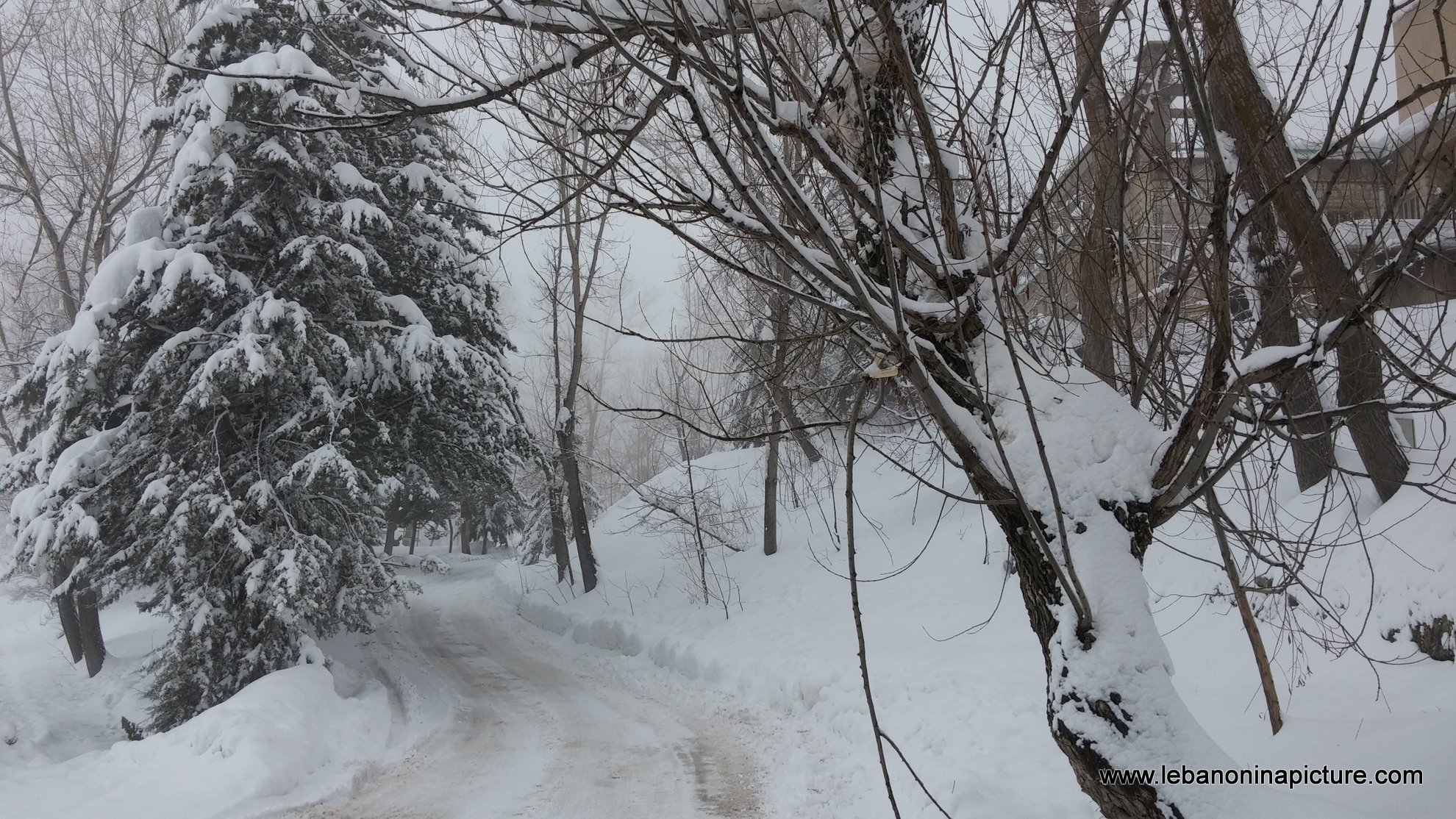 Snowing in Laklouk (Laqlouq, Lebanon)