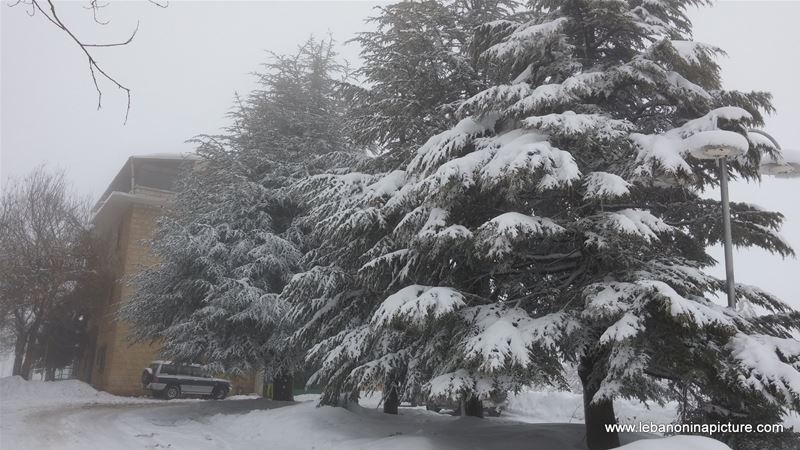 Snowing in Laklouk (Laqlouq, Lebanon)