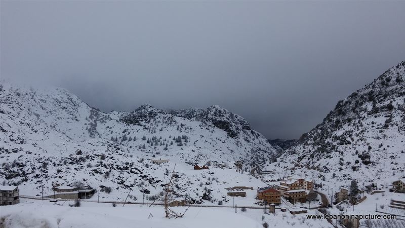 Snowing in Laklouk (Laqlouq, Lebanon)