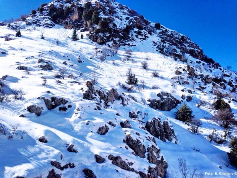 Snowing is an attempt of God to make the dirty world look clean ❄️⛄️❄️ ... (Mzaar Kfardebian)