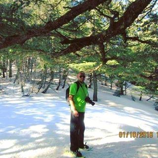  snowshoeing  barouk  ceader  forest  sport  fun  cool  livelovelebanon ...