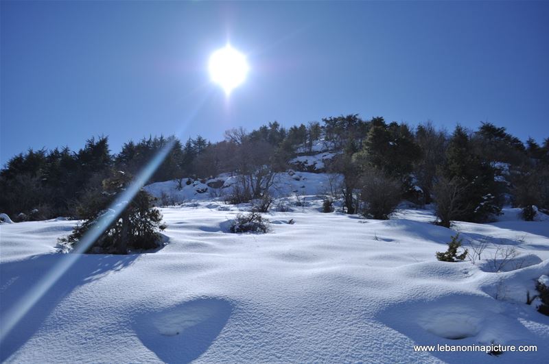 Snowshoeing Ehden Reserve (Horsh Ehden Winter 2012)