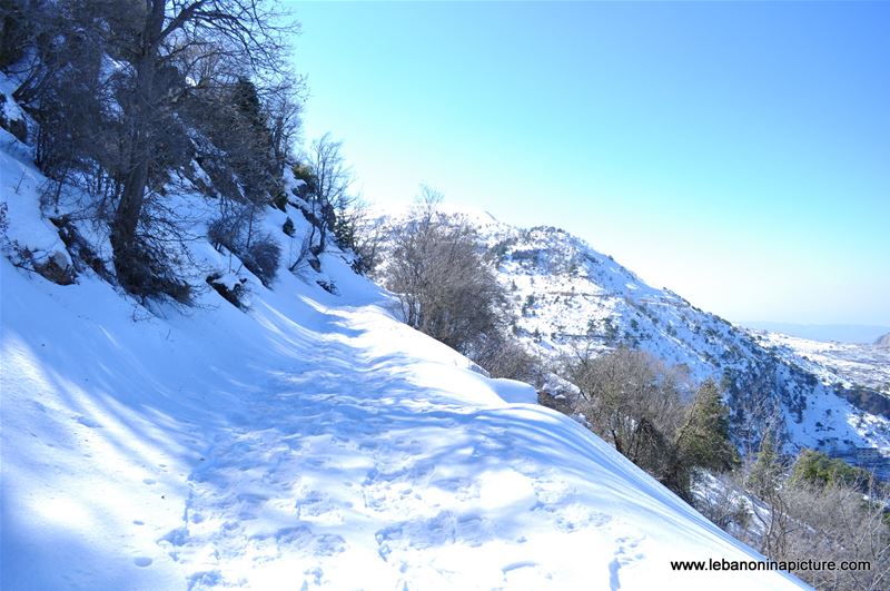 Snowshoeing Ehden Reserve (Horsh Ehden Winter 2012)