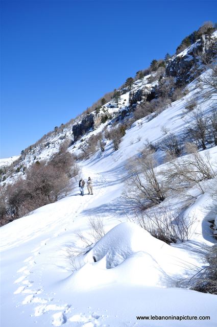 Snowshoeing Ehden Reserve (Horsh Ehden Winter 2012)