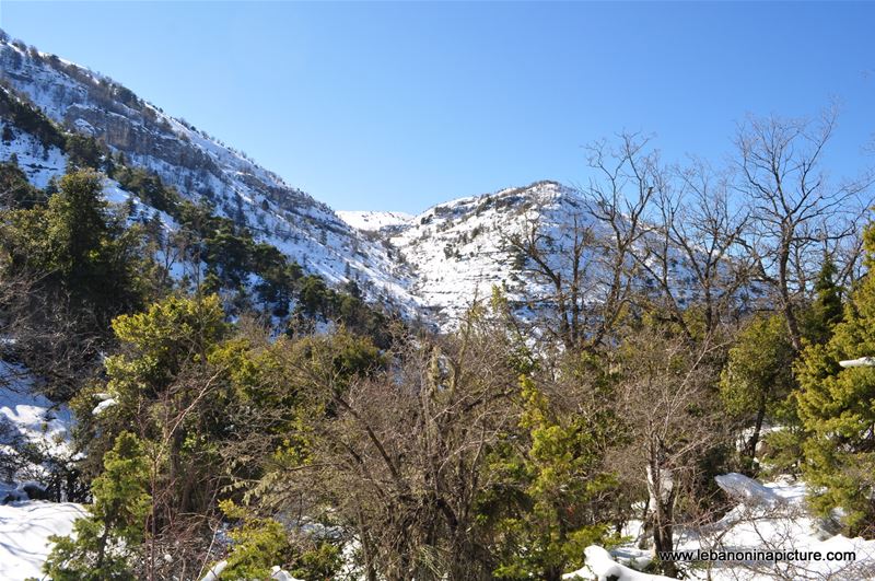 Snowshoeing Ehden Reserve (Horsh Ehden Winter 2012)