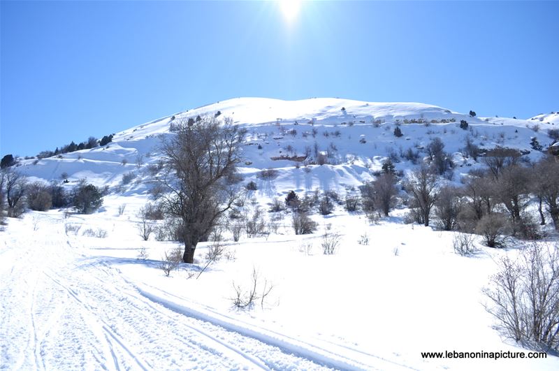 Snowshoeing Ehden Reserve (Horsh Ehden Winter 2012)