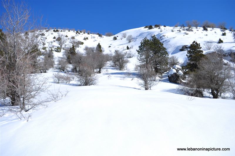 Snowshoeing Ehden Reserve (Horsh Ehden Winter 2012)