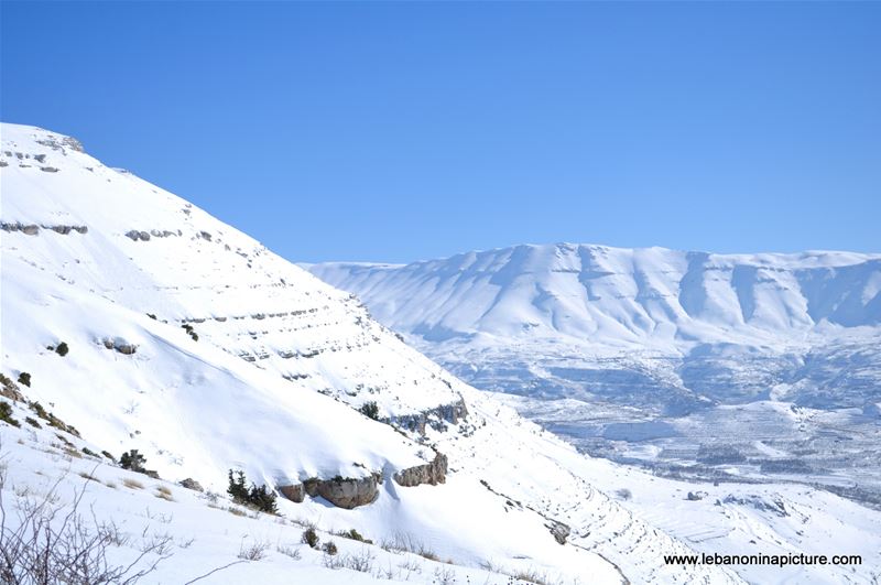 Snowshoeing Ehden Reserve (Horsh Ehden Winter 2012)