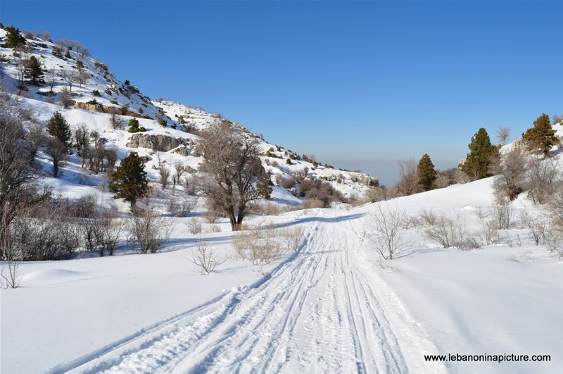 Snowshoeing Ehden Reserve (Horsh Ehden Winter 2012)