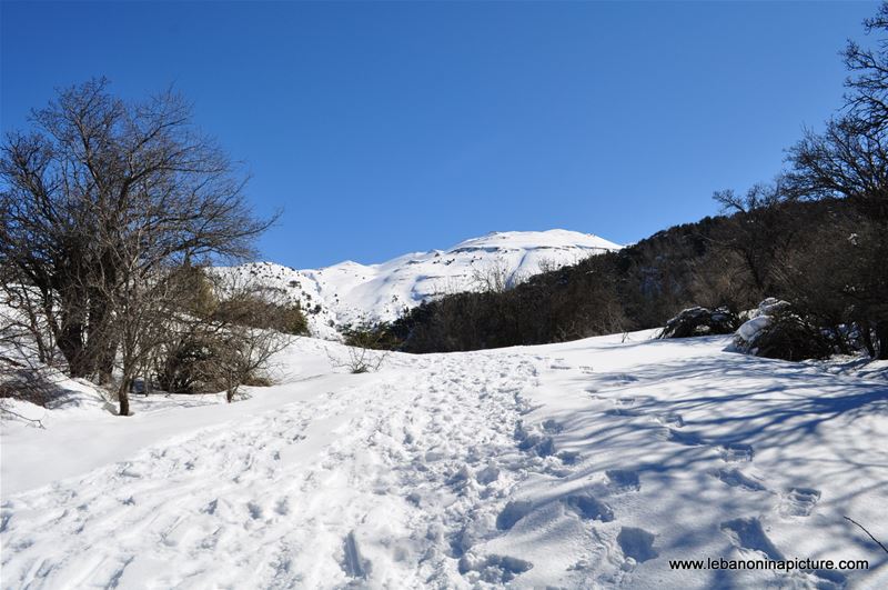 Snowshoeing Ehden Reserve (Horsh Ehden Winter 2012)