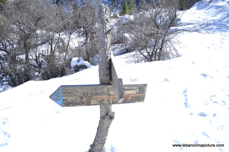 Snowshoeing Ehden Reserve (Horsh Ehden Winter 2012)