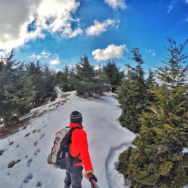  snowshoeing  hiking  hikinglife  hiking4fun  hikinggear  hikingtime ...