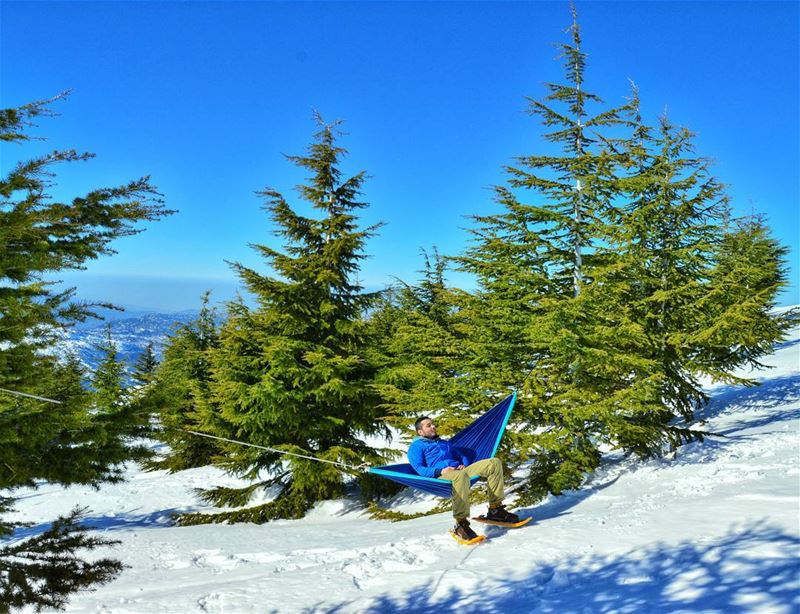 🌲❄🗻... snowshoeing snow forest cedars hammock winter hike hiking...