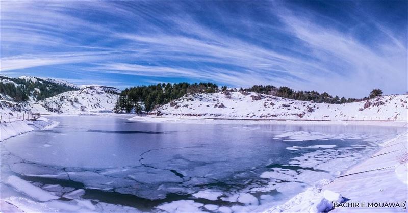  snowshoeing  snowshoeingadventures  snow  ceders of  god  barouk ... (Arz el Bâroûk)