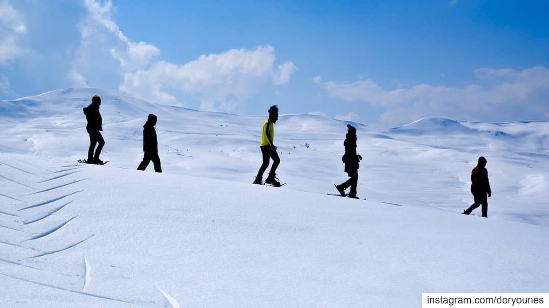 Snowshoeing through  wonderland 💙❄💙❄ fujifilm  fujifilmxseries ... (Sannin, Mont-Liban, Lebanon)