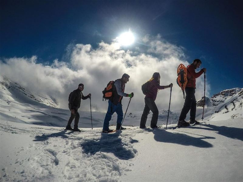 snowshoeing with the team 🇱🇧photo credit to @louaynemerkabalan  hiking...