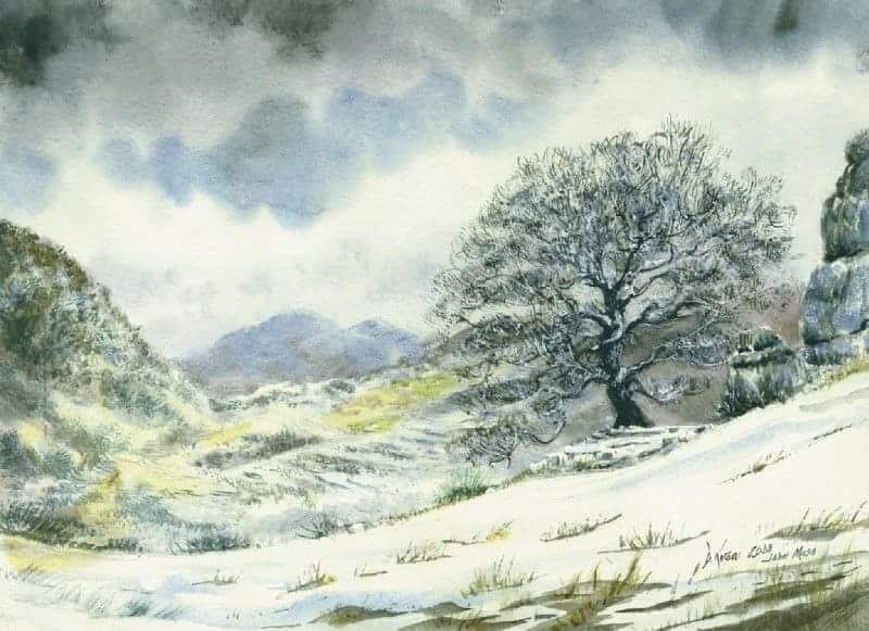 Snowy landscape; Glowing hearts... _Walnut tree in  JabalMoussa Biosphere ...