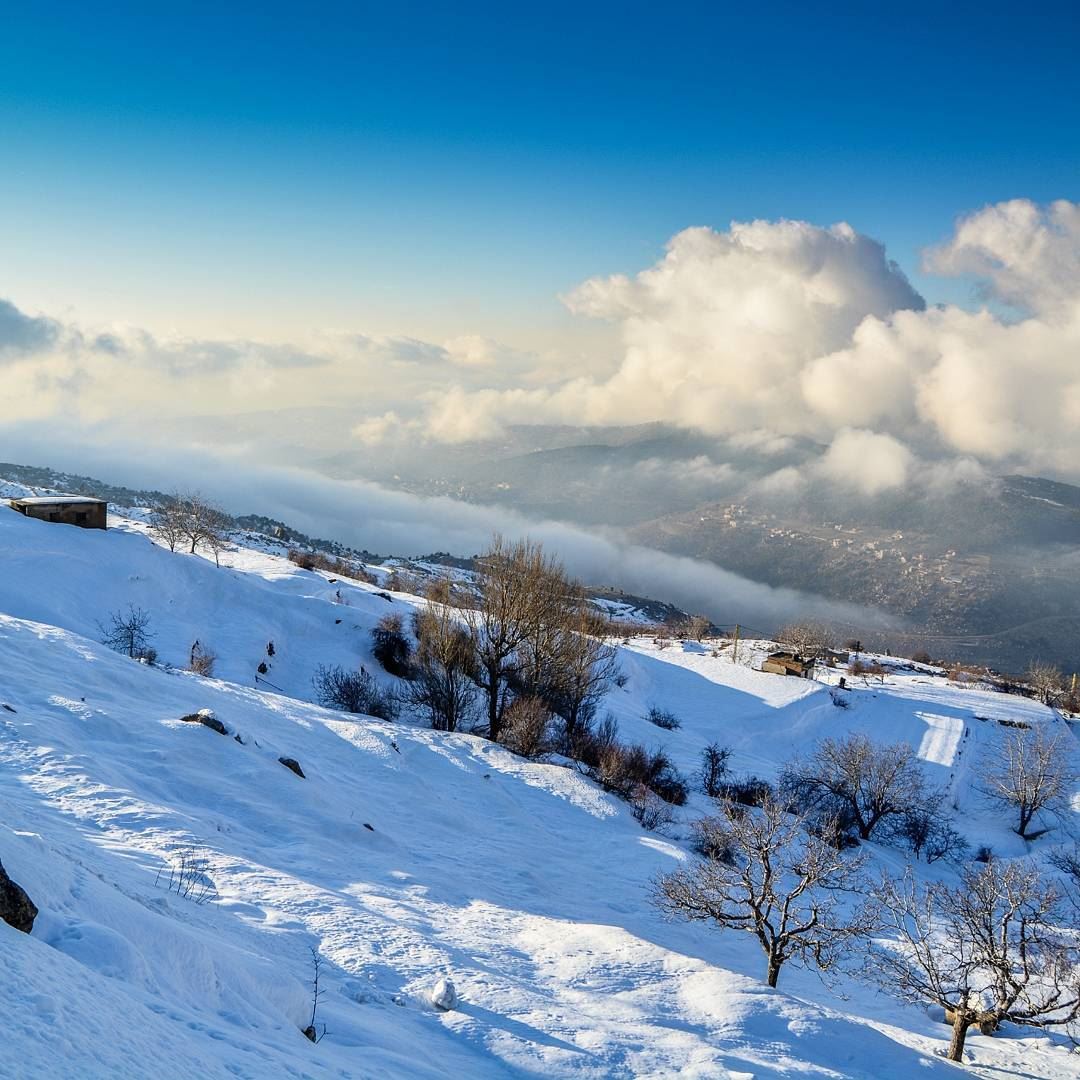 Snowy sunset - Zaarour Lebanon. 1650 m high. Good evening dear IGers. ..... (Zaarour)