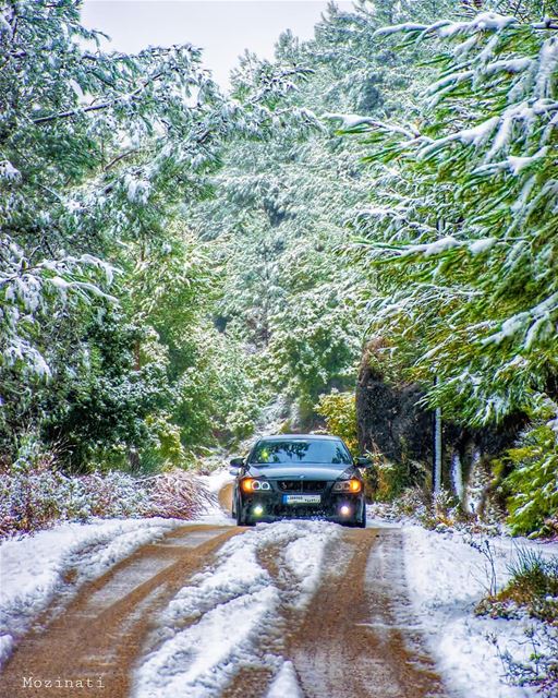  snowyday insta_lebanon ig_street streetphotography streetshot... (Kfar Hoûné, Al Janub, Lebanon)