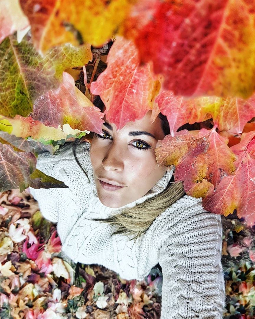 Snuggled in my leafy wall of love... Autumn if I could hug you, I would...... (Lebanon)