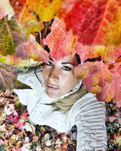 Snuggled in my leafy wall of love... Autumn if I could hug you, I would...... (Lebanon)
