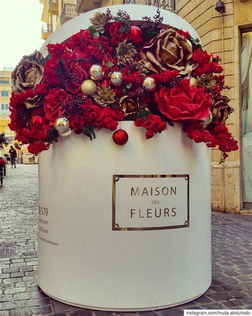 So beautiful 😴💙🌷 Christmas spirit 🌷 flowers flower redflowers red...