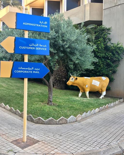 So, have you met our Postal Cow 🐮📮 libanpost  postal  cows  art ... (Beirut–Rafic Hariri International Airport)