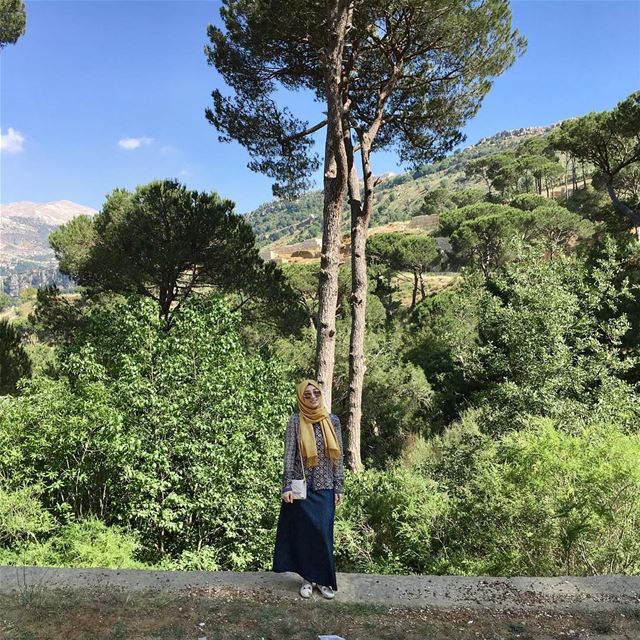 So I have been away for a while, I used to be more active, been really... (Bkassin-jezzine)