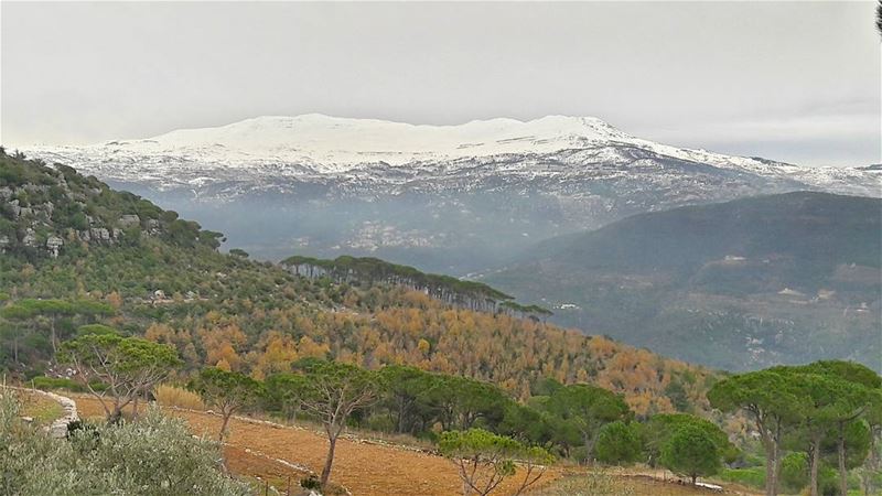 So let's explore the Sannine Mountain.....Good morning  Lebanon  Lebanese... (Baabdâte, Mont-Liban, Lebanon)