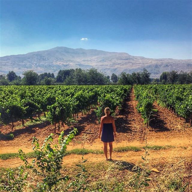 So much of our happiness depends on how we choose to look at the world ...... (Deïr Taanâyel, Béqaa, Lebanon)