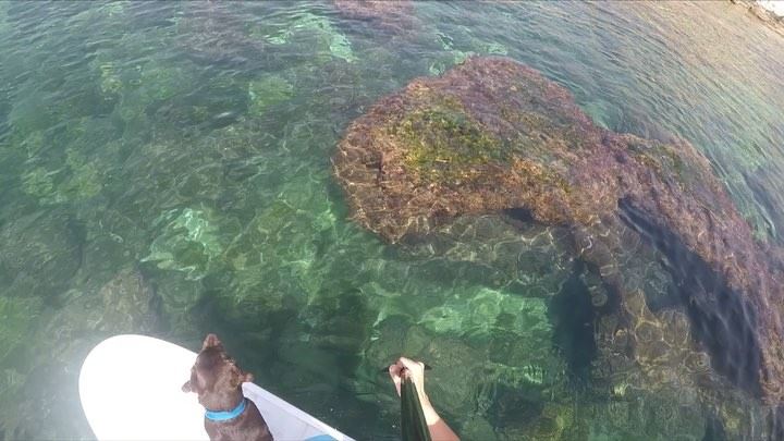 So this is how “YOURS” looks like on a calm day. Still no one has surfed... (جونية - Jounieh)