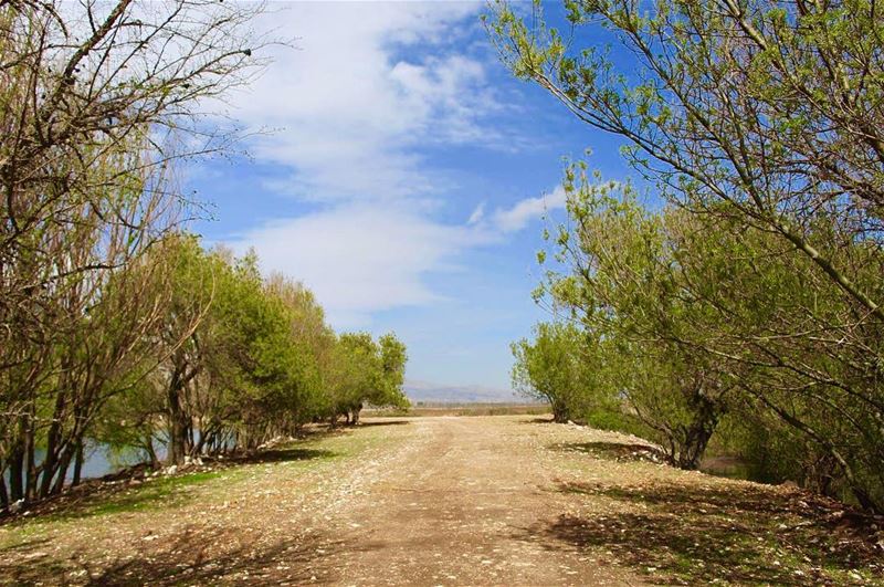  soft morning road_to_heaven  ammiq  bluesky  geenplanet livelovebeirut ... (`Ammiq, Béqaa, Lebanon)