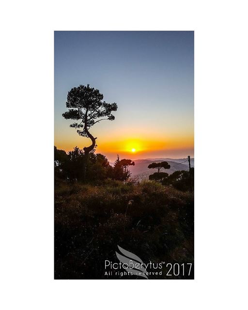 "Softly the evening came with the sunset." - Henry Wadsworth Longfellow...