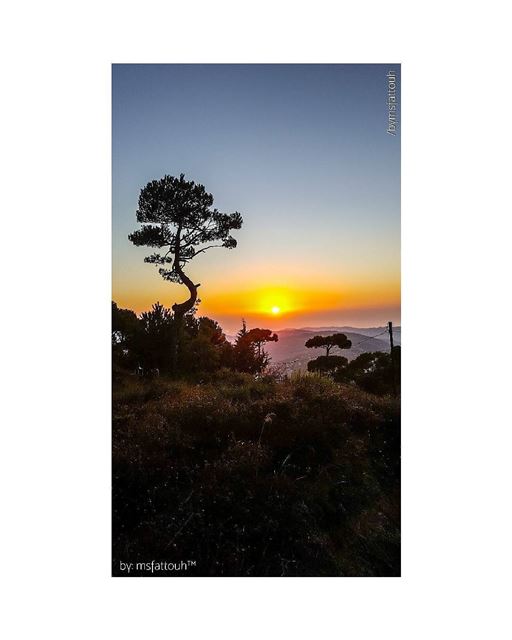 "Softly the evening came with the sunset." - Henry Wadsworth Longfellow...