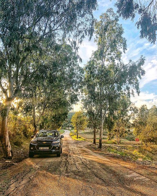 Solivagant: wandering alone——————————————————— super_lebanon ... (Lebanon)